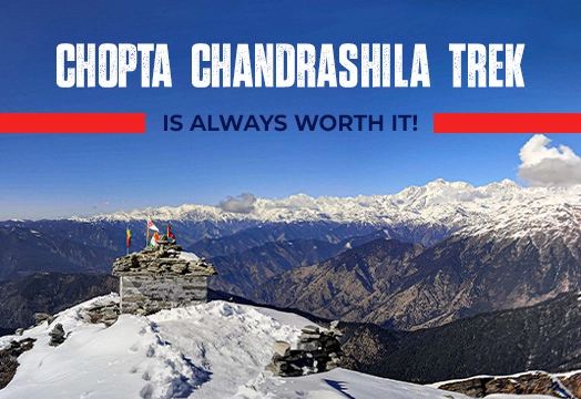 Chopta Chandrashila Tungnath Trek - Trek The Himalayas 